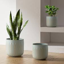 pot